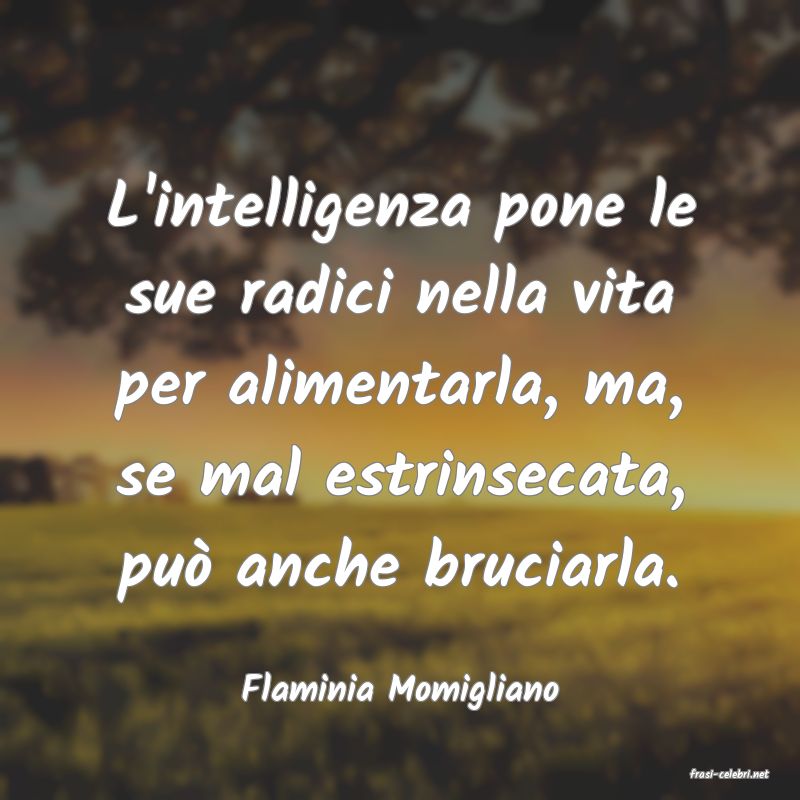 frasi di  Flaminia Momigliano

