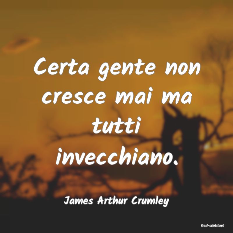 frasi di  James Arthur Crumley
