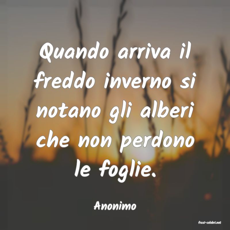frasi di Anonimo