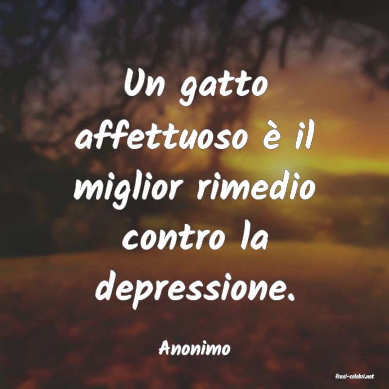 frasi di Anonimo