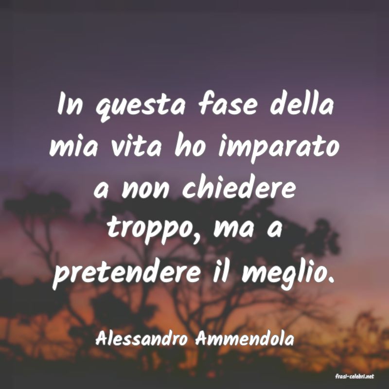 frasi di  Alessandro Ammendola
