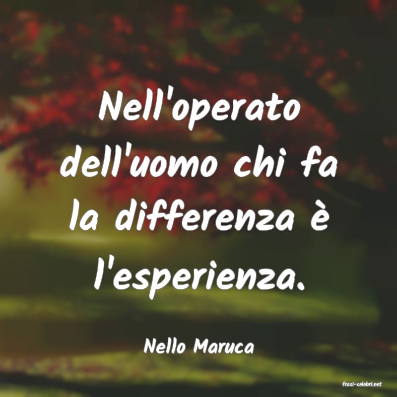 frasi di  Nello Maruca

