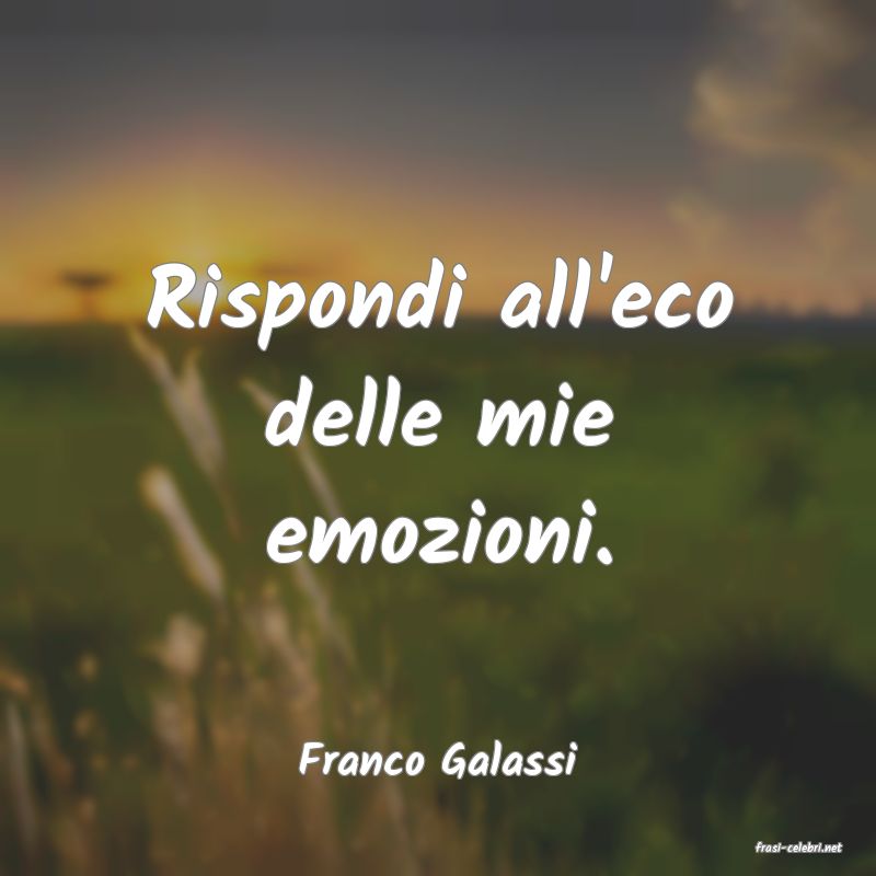 frasi di  Franco Galassi
