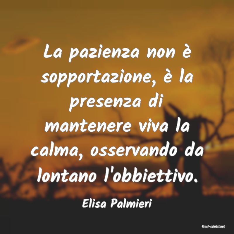 frasi di  Elisa Palmieri
