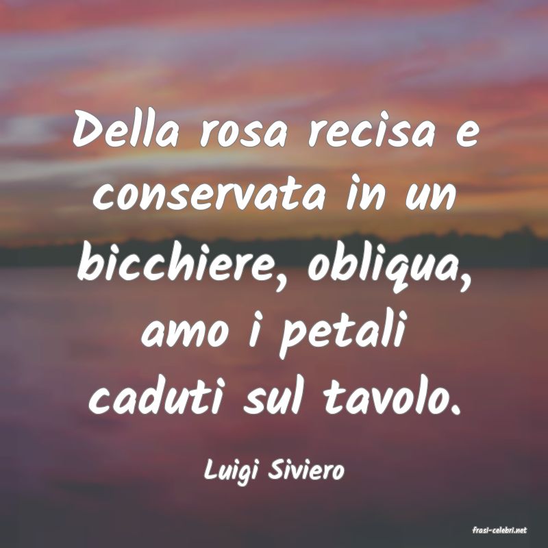 frasi di  Luigi Siviero
