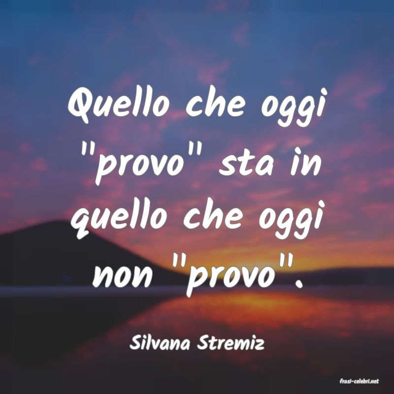 frasi di  Silvana Stremiz
