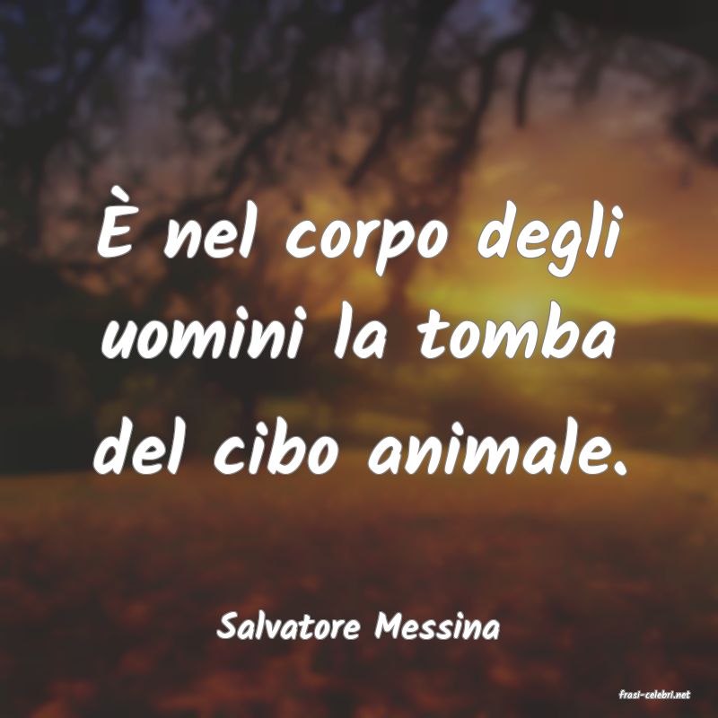 frasi di  Salvatore Messina
