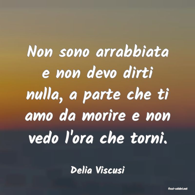 frasi di  Delia Viscusi
