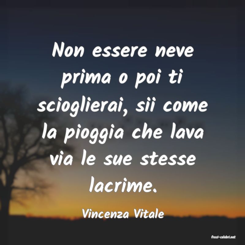 frasi di  Vincenza Vitale
