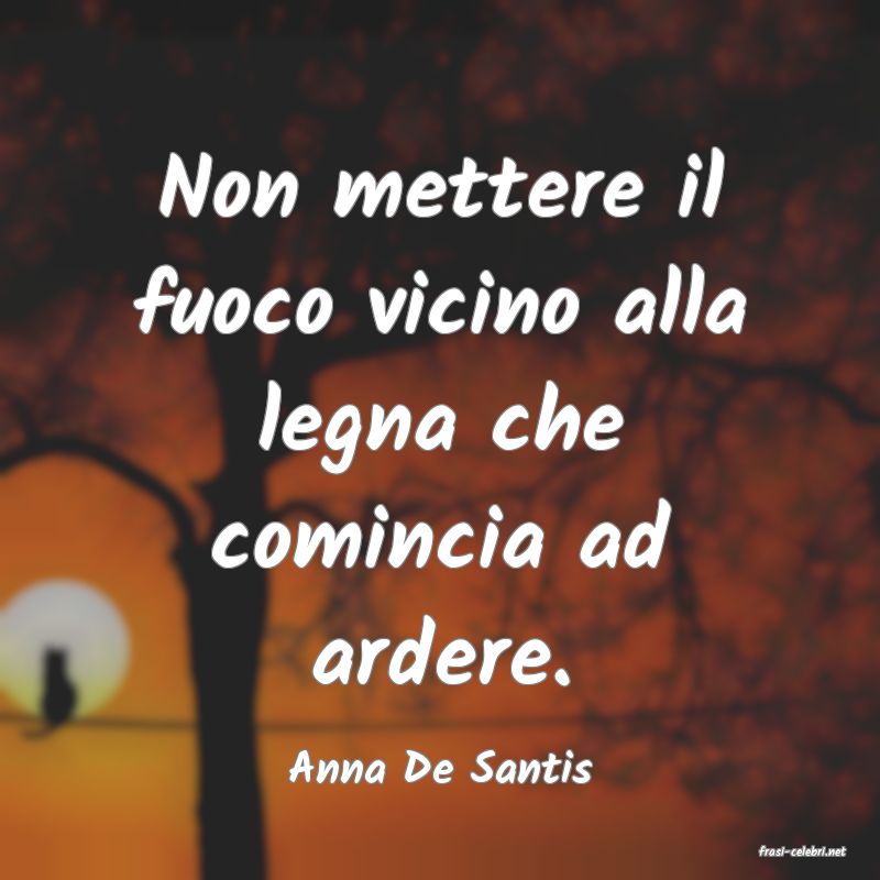 frasi di  Anna De Santis

