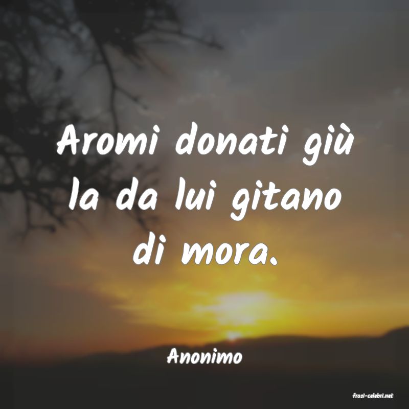 frasi di  Anonimo
