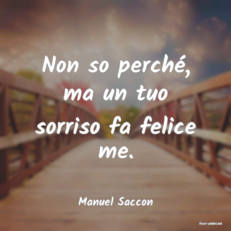 frasi di  Manuel Saccon

