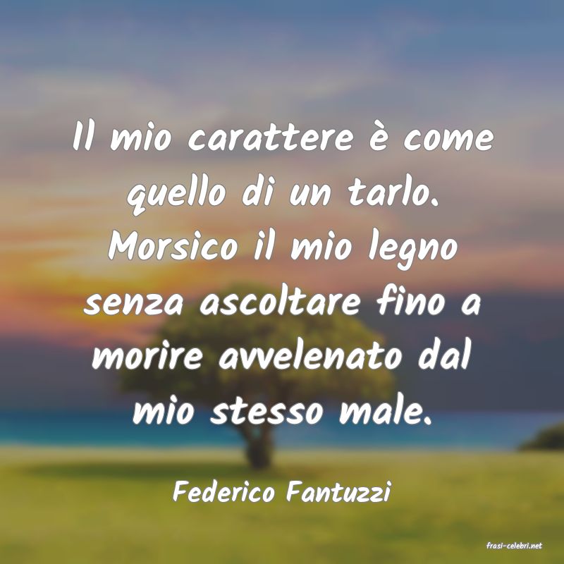 frasi di  Federico Fantuzzi
