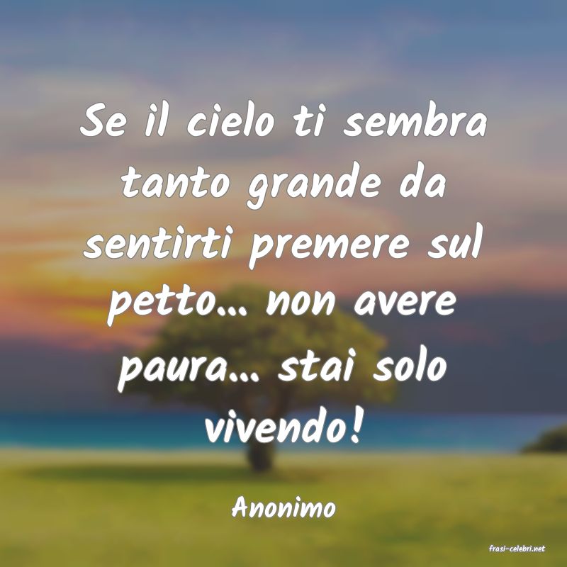 frasi di Anonimo