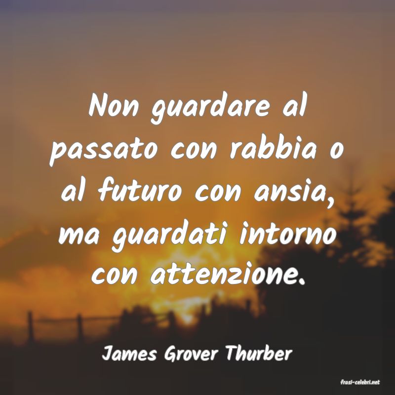 frasi di James Grover Thurber