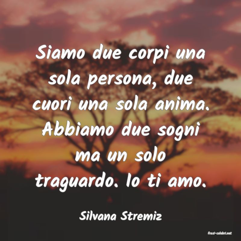 frasi di Silvana Stremiz