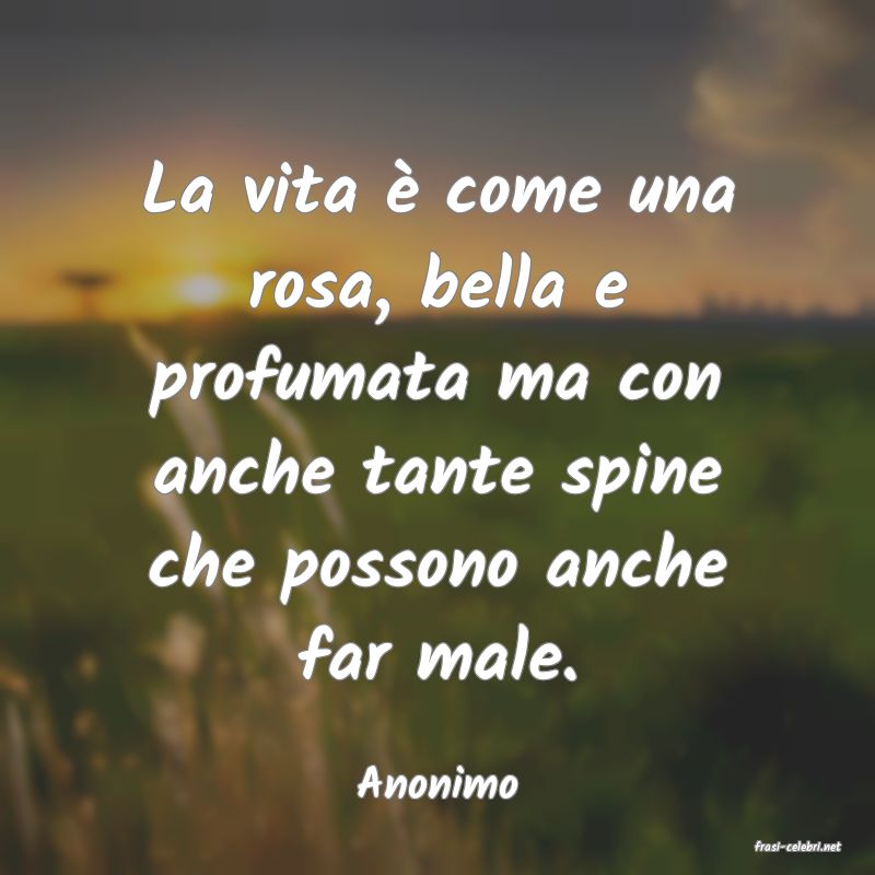 frasi di Anonimo