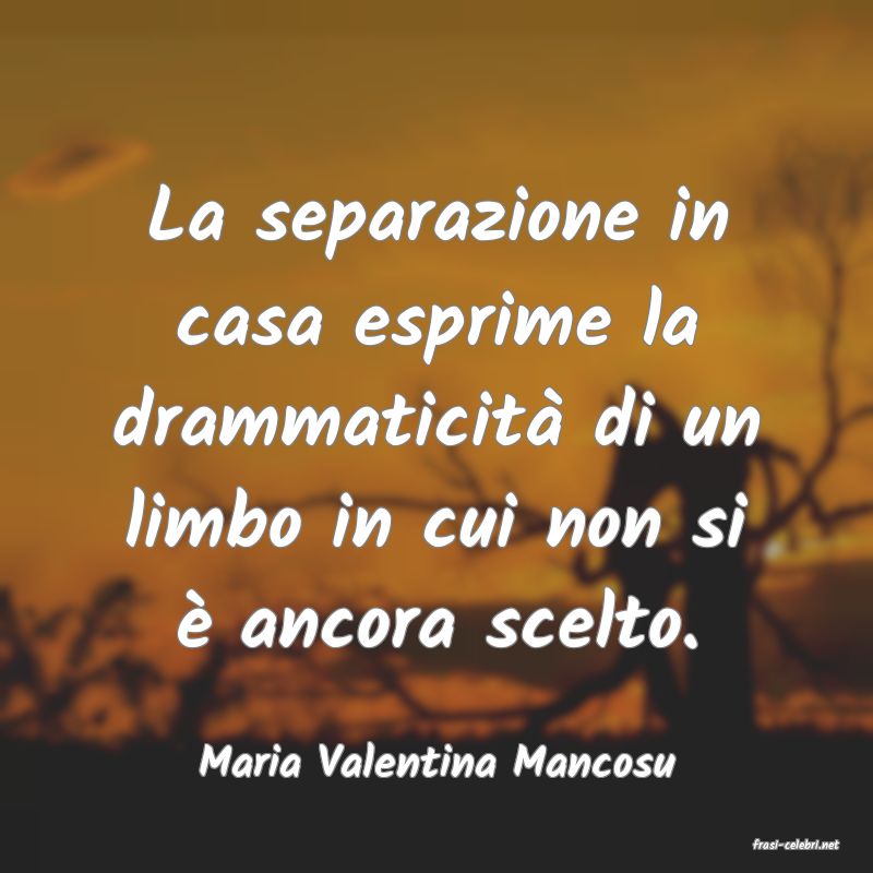 frasi di  Maria Valentina Mancosu

