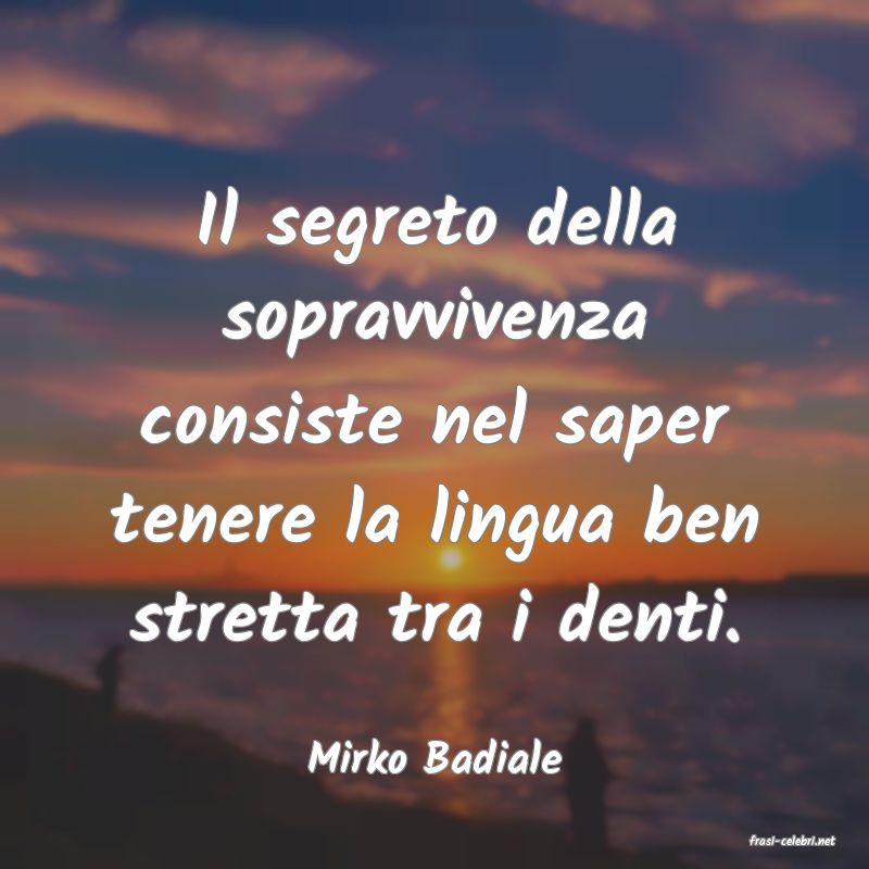 frasi di  Mirko Badiale

