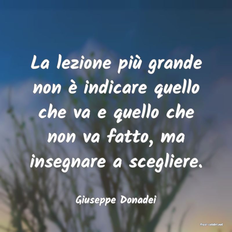 frasi di  Giuseppe Donadei
