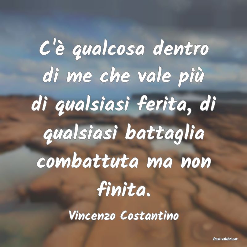 frasi di  Vincenzo Costantino
