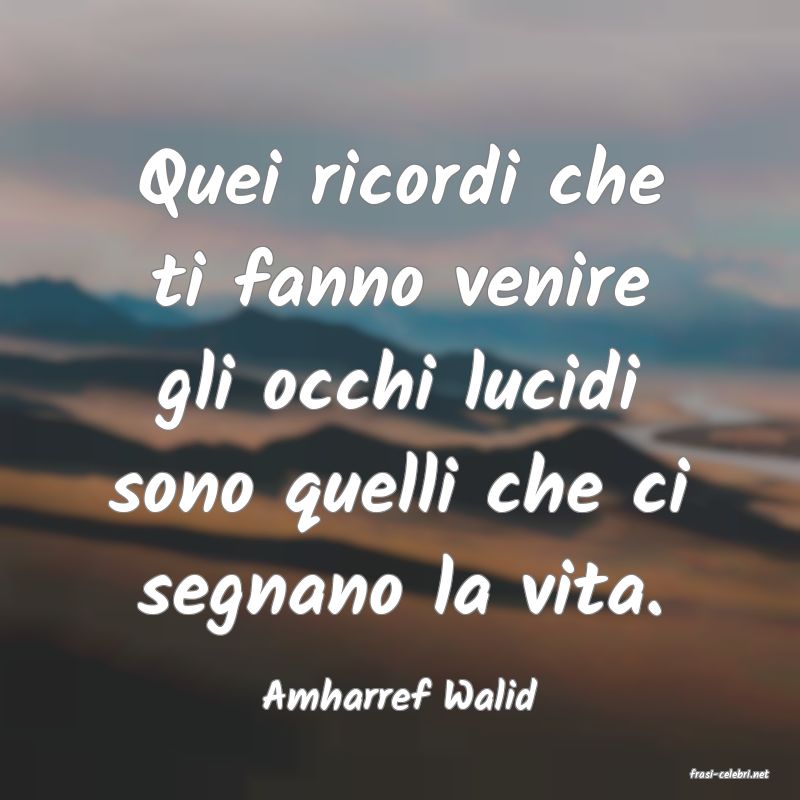 frasi di  Amharref Walid
