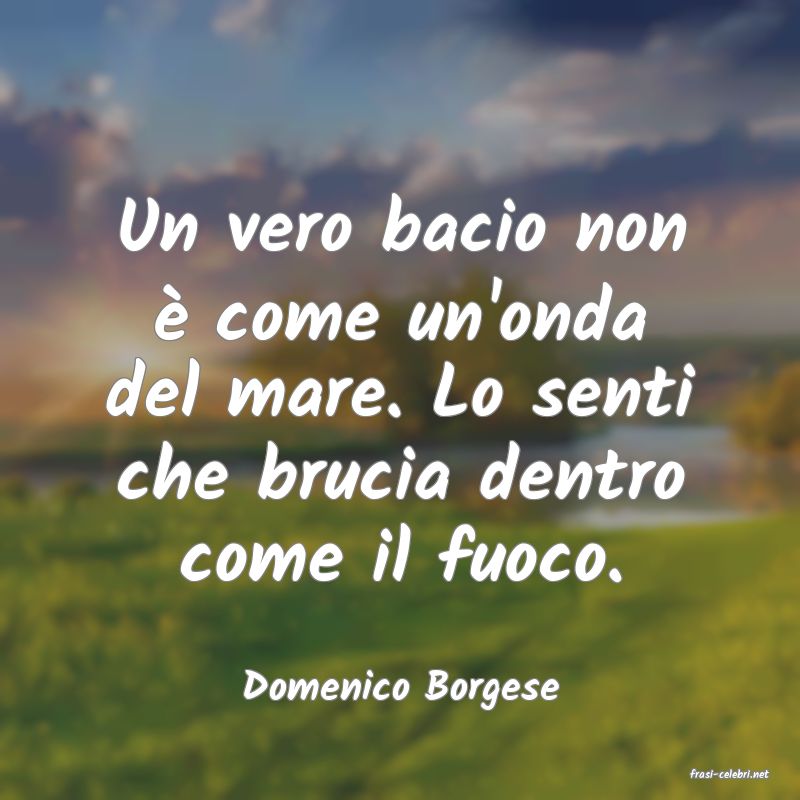 frasi di  Domenico Borgese
