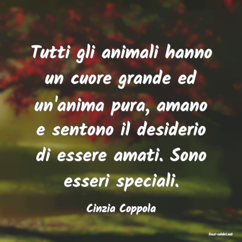 frasi di  Cinzia Coppola
