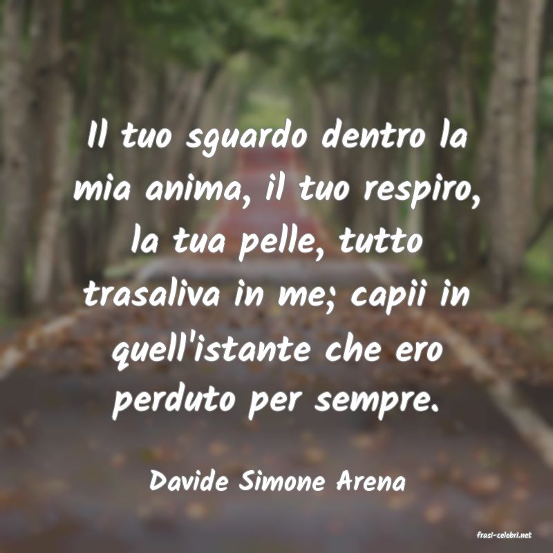 frasi di  Davide Simone Arena
