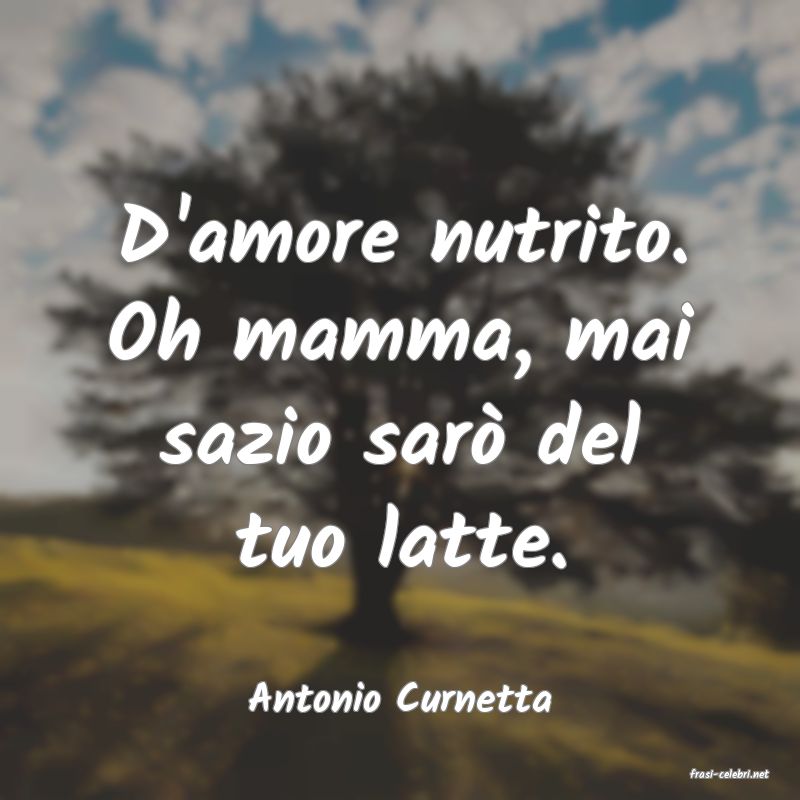 frasi di  Antonio Curnetta
