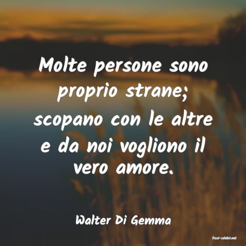 frasi di Walter Di Gemma