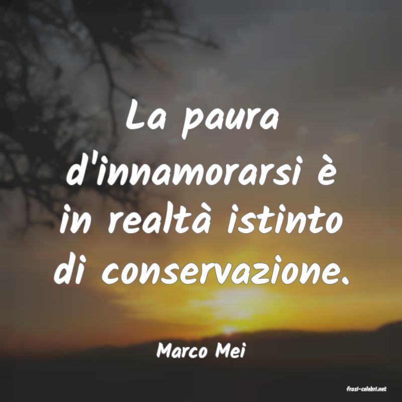 frasi di  Marco Mei
