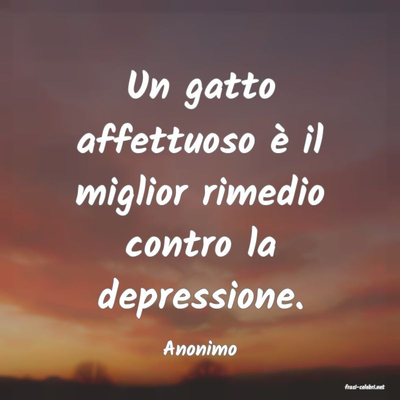 frasi di  Anonimo
