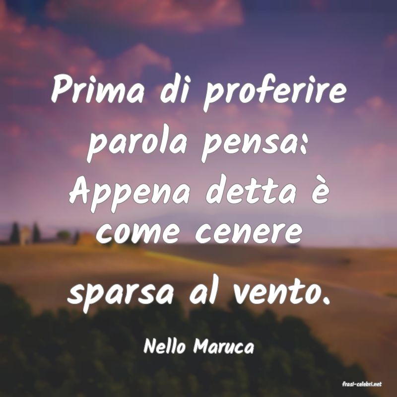 frasi di  Nello Maruca
