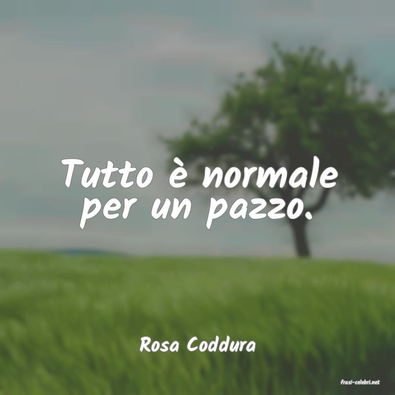 frasi di  Rosa Coddura
