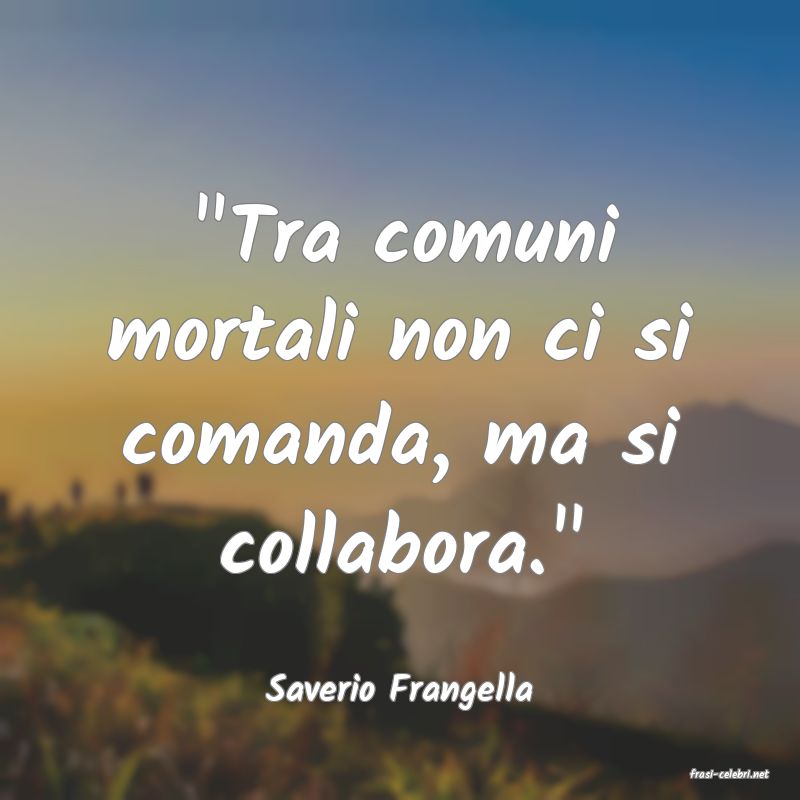 frasi di  Saverio Frangella

