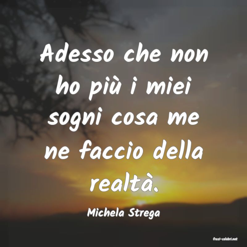 frasi di  Michela Strega
