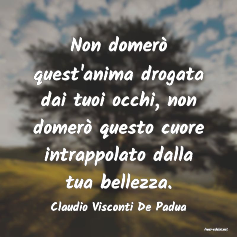 frasi di  Claudio Visconti De Padua

