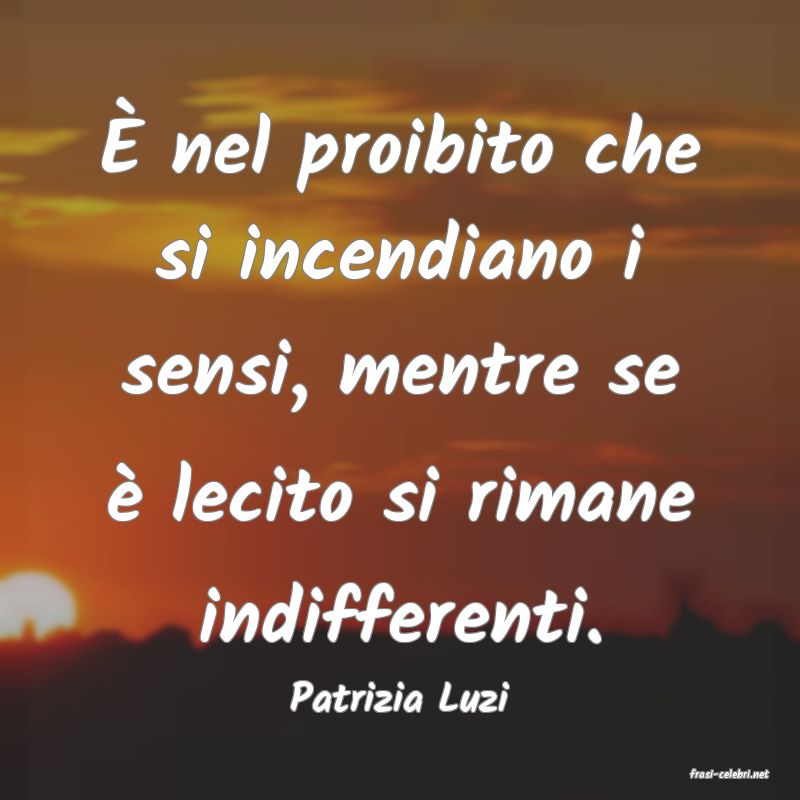 frasi di  Patrizia Luzi
