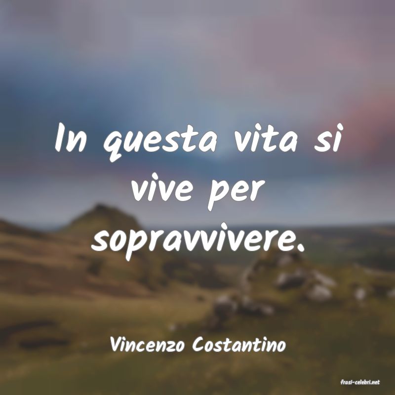 frasi di  Vincenzo Costantino
