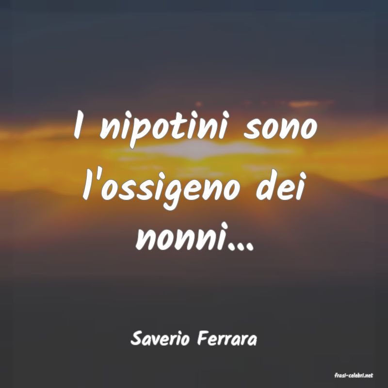 frasi di  Saverio Ferrara
