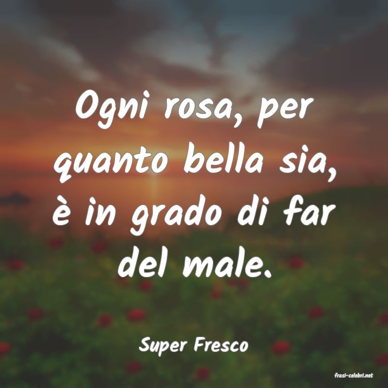 frasi di Super Fresco