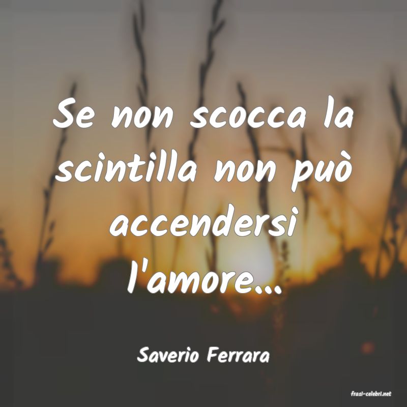 frasi di  Saverio Ferrara
