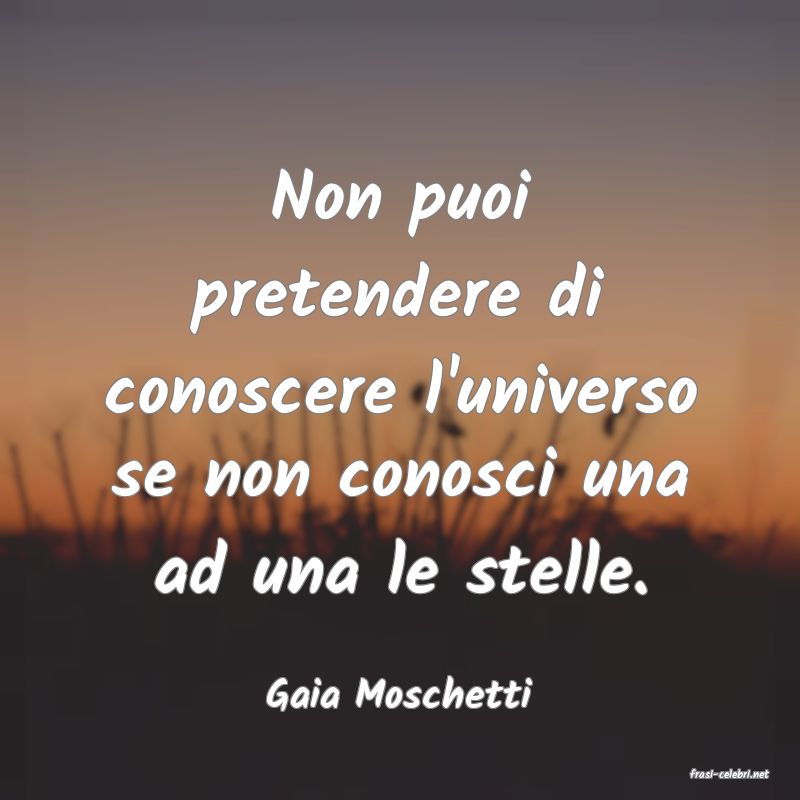 frasi di  Gaia Moschetti
