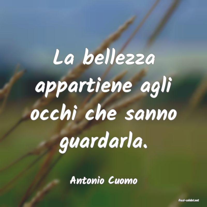 frasi di  Antonio Cuomo
