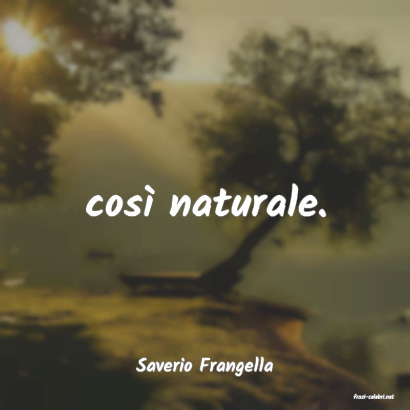 frasi di Saverio Frangella