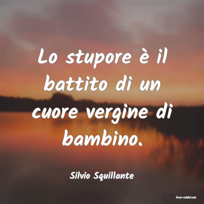 frasi di  Silvio Squillante
