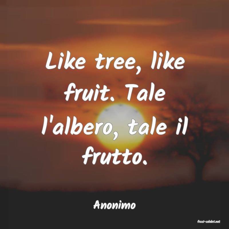 frasi di Anonimo
