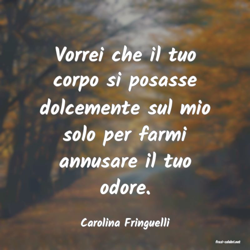 frasi di Carolina Fringuelli