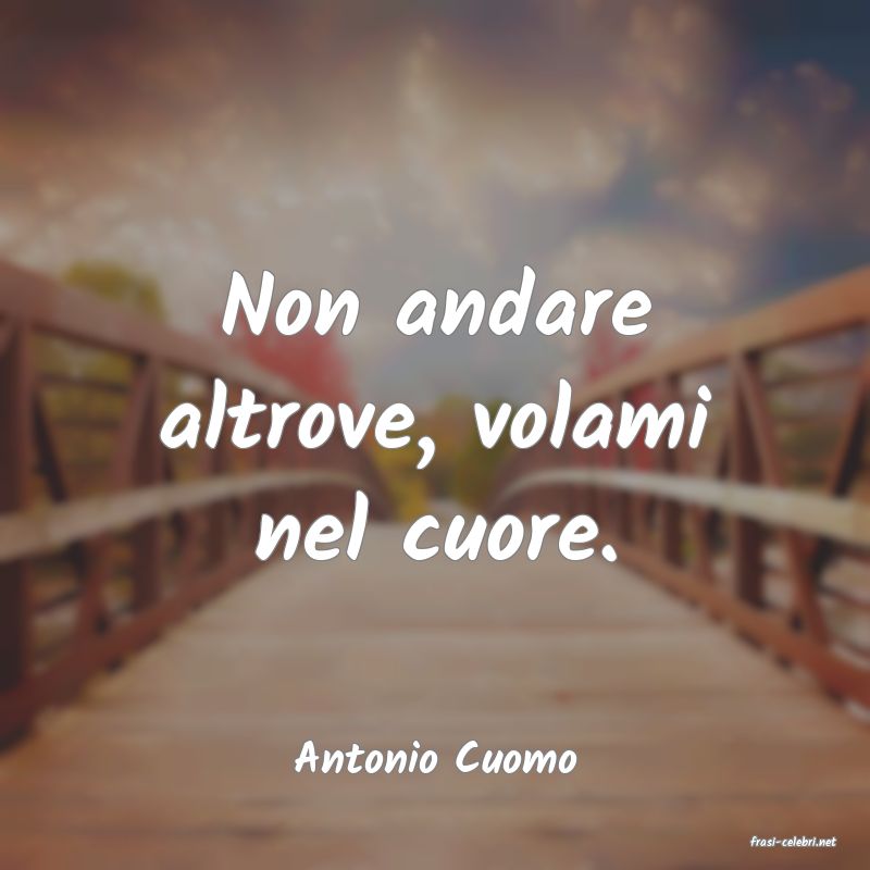 frasi di  Antonio Cuomo
